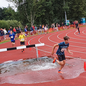 Quirijn Pastoor - Steeple Chase